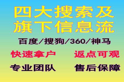 优化SEM竞价策略：成功案例剖析
